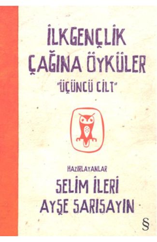 İlkgençlik Çağına Öyküler - 3. Cilt