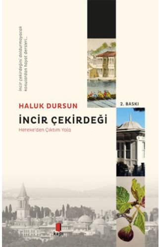 İncir Çekirdeği