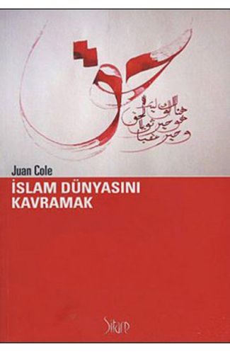 İslam Dünyasını Kavramak