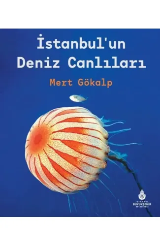 İstanbulun Deniz Canlıları