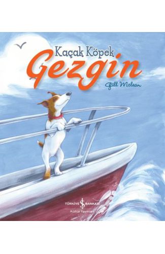 Kaçak Köpek Gezgin