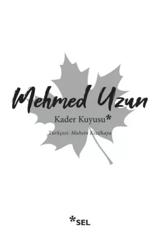 Kader Kuyusu