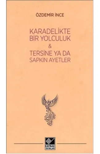 Kara Delikte Bir Yolculuk ve Tersine ya da Sapkın Ayetler