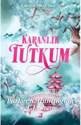 Karanlık Tutkum