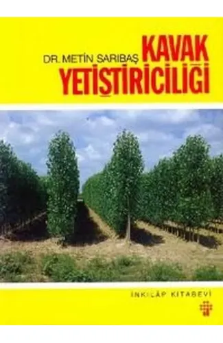 Kavak Yetiştiriciliği