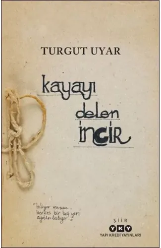 Kayayı Delen İncir