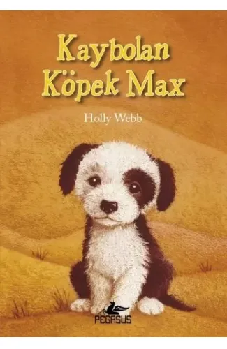 Kaybolan Köpek Max