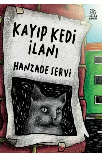 Kayıp Kedi İlanı