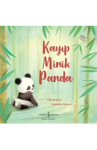 Kayıp Minik Panda