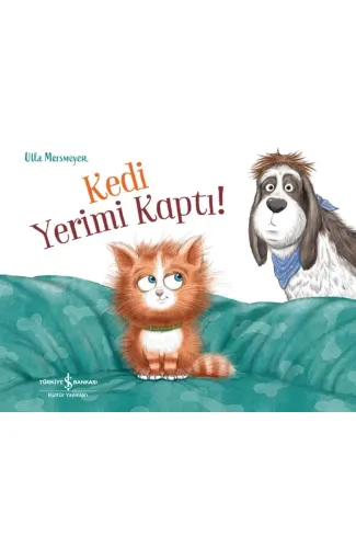 Kedi Yerimi Kaptı!