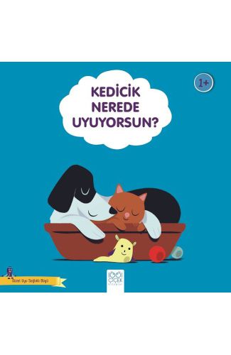 Kedicik Nerede Uyuyorsun?