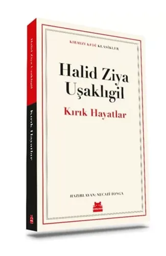 Kırık Hayatlar