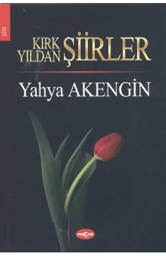 Kırk Yıldan Şiirler