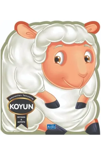 Koyun - Hayvanları Tanıyalım