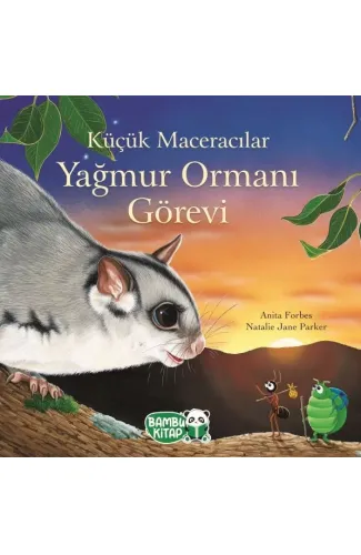 Küçük Maceracılar - Yağmur Ormanı Görevi