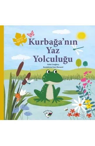 Kurbağa’nın Yaz Yolculuğu – Doğada Bir Yıl