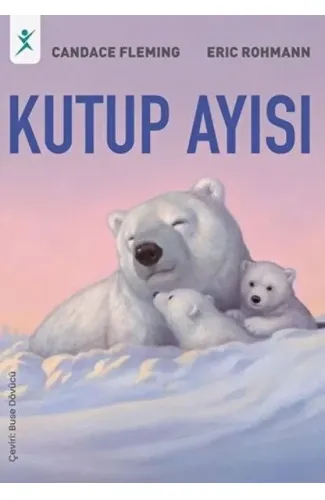 Kutup Ayısı