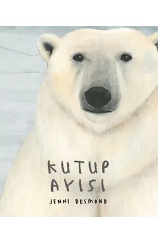 Kutup Ayısı