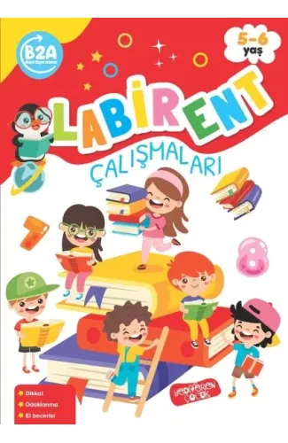 Labirent Çalışmaları