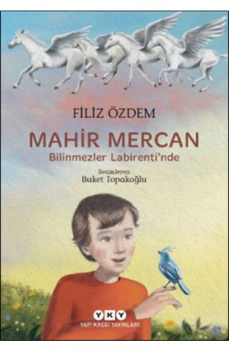 Mahir Mercan - Bilinmezler Labirenti’nde