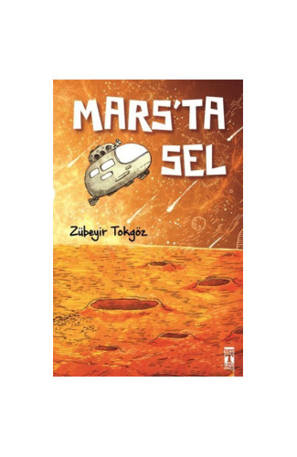 Mars'ta Sel