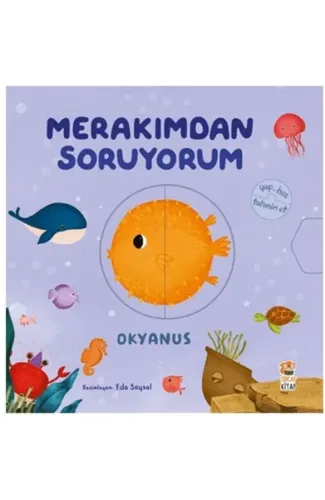 Merakımdan Soruyorum - Okyanus