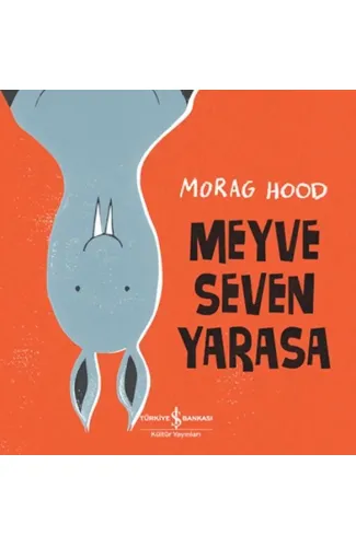 Meyve Seven Yarasa