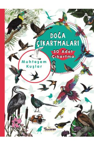 Muhteşem Kuşlar - Doğa Çıkartmaları