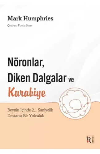 Nöronlar, Diken Dalgalar ve Kurabiye