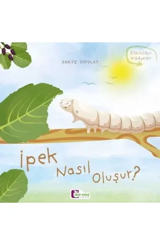 Oluşum Hikayeleri - İpek nasıl oluşur?