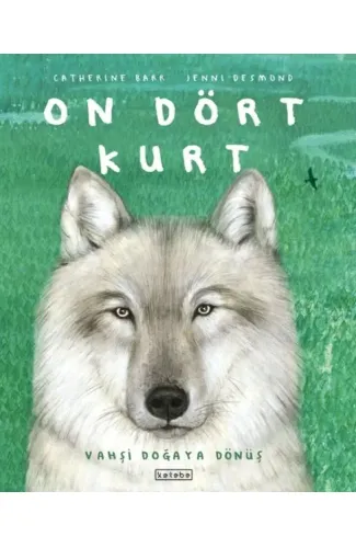 On Dört Kurt