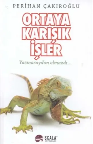 Ortaya Karışık İşler