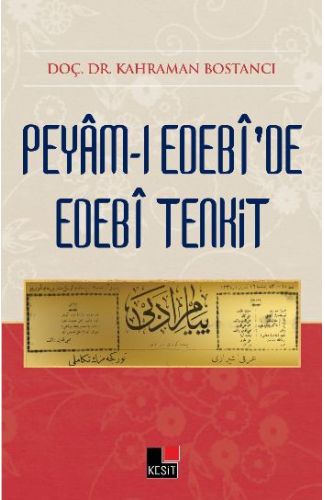 Peyamı Edebide Edebi Tenkit