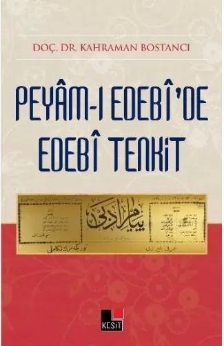 Peyamı Edebide Edebi Tenkit