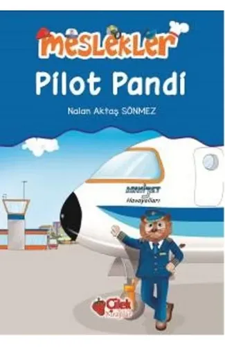 Pilot Pandi / Meslekler