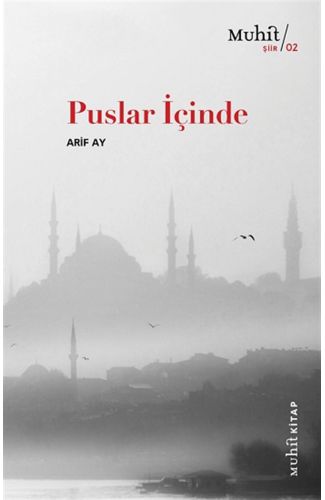 Puslar İçinde