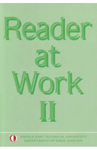 Reader At Work 2