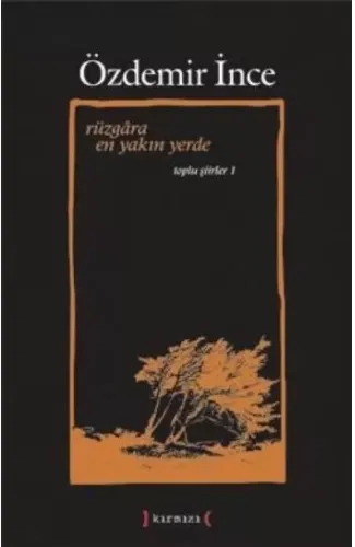 Rüzgara En Yakın Yerde / Toplu Şiirler I