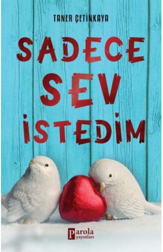 Sadece Sev İstedim