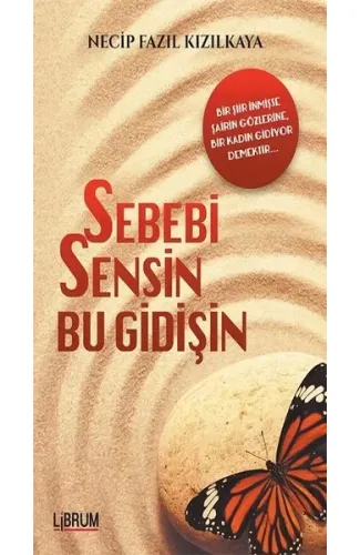 Sebebi Sensin Bu Gidişin