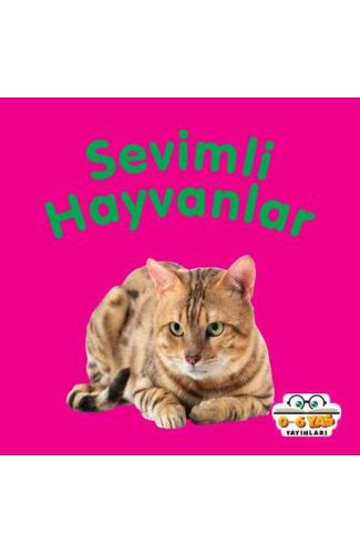 Sevimli Hayvanlar - Mini Karton Kitaplar