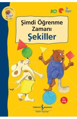 Şimdi Öğrenme Zamanı - Şekiller