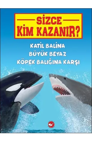 Sizce Kim Kazanır? Katil Balina Büyük Beyaz Köpek Balığına Karşı