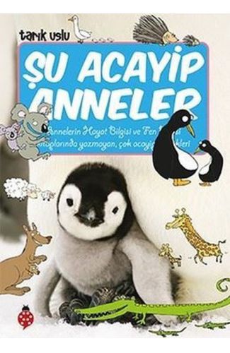 Şu Acayip Anneler