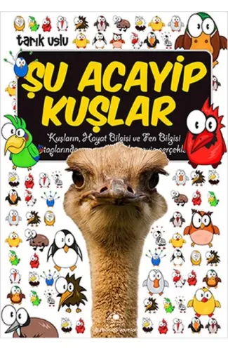 Şu Acayip Kuşlar