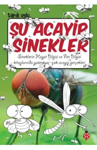 Şu Acayip Sinekler