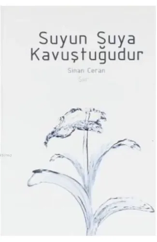 Suyun Suya Kavuştuğudur