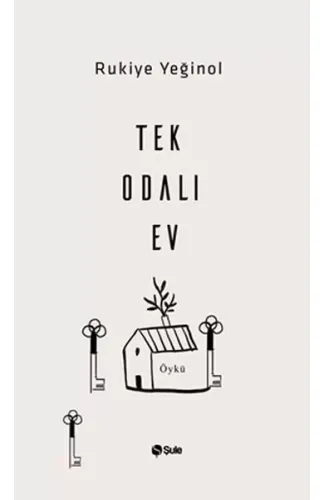 Tek Odalı Ev