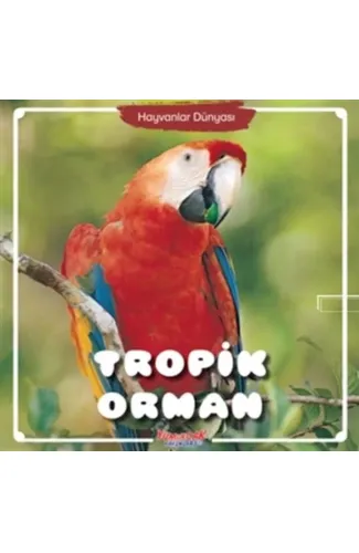 Tropik Orman - Hayvanlar Dünyası