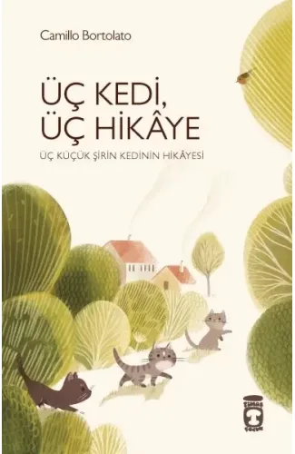 Üç Kedi Üç Hikaye